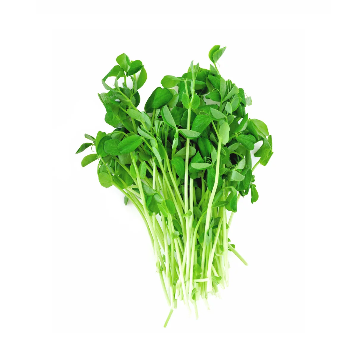 Pea Shoots (Dun Pea)