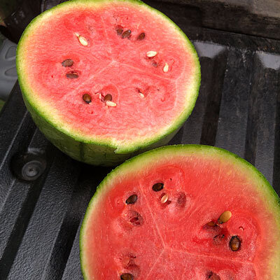 melons.jpg