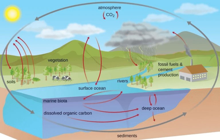 carboncycle-portrait-x-1-1.jpg