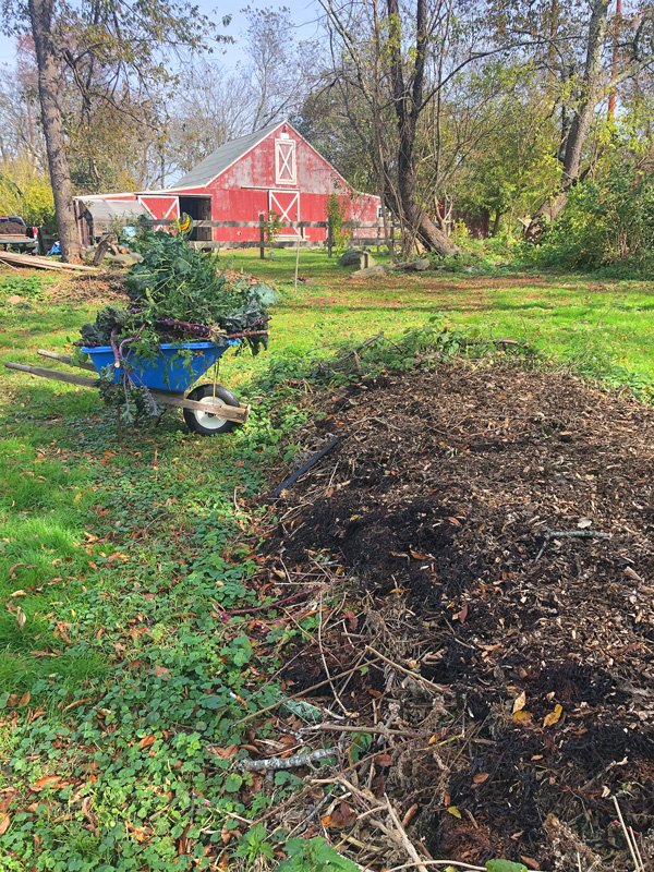 wheelbarrel_compost.jpg