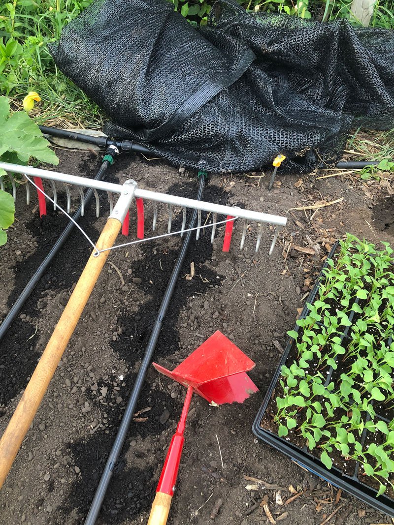 Tools-seeds-irrigation-purchased.jpg