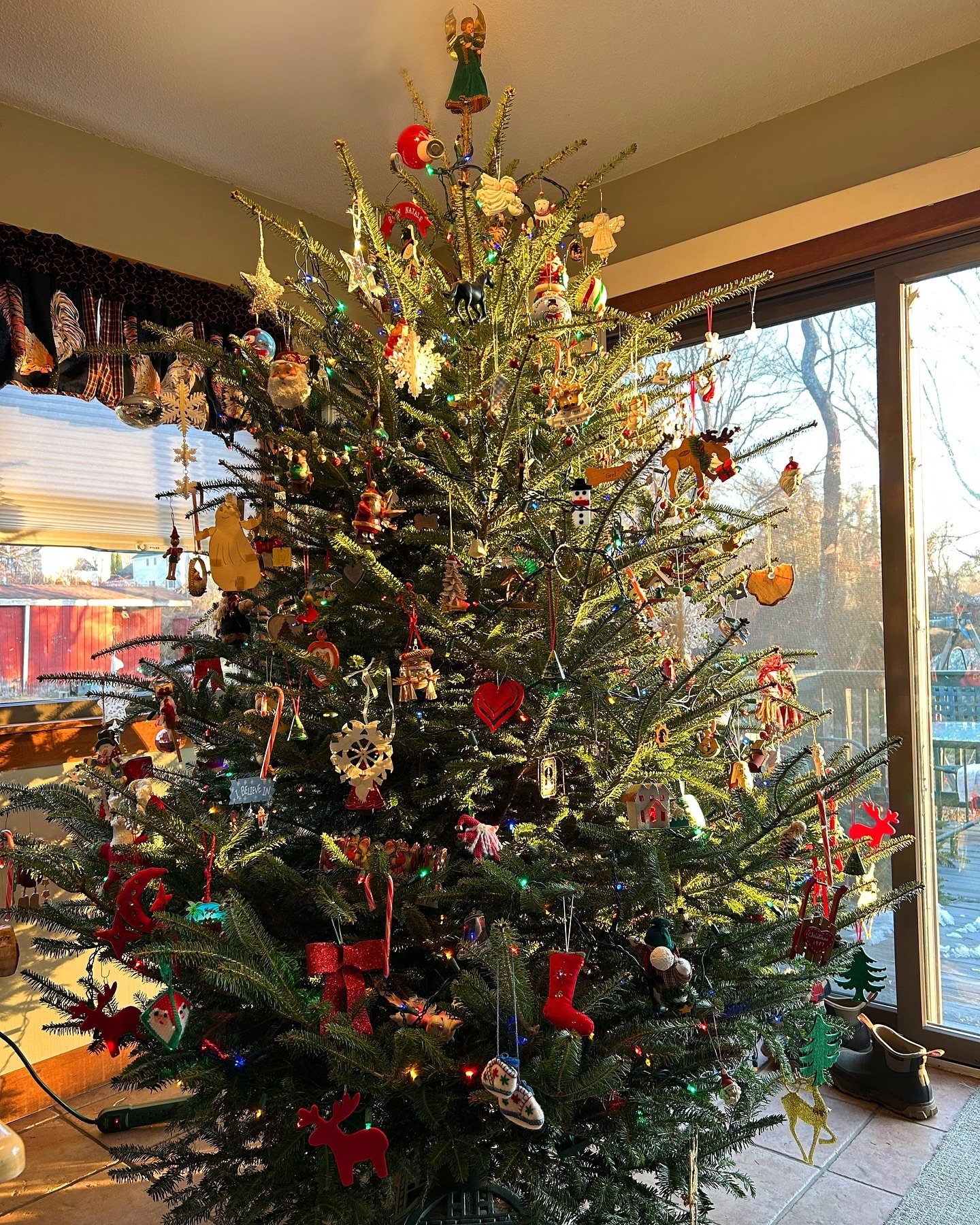 Happy 2025 from the farm! December was sweet with sunny weather, warm harvest/pack up days, delicious food and time-off for long visits with friends and family. We harvested Christmas trees from the patch I planted way back in 2016 when this journey 