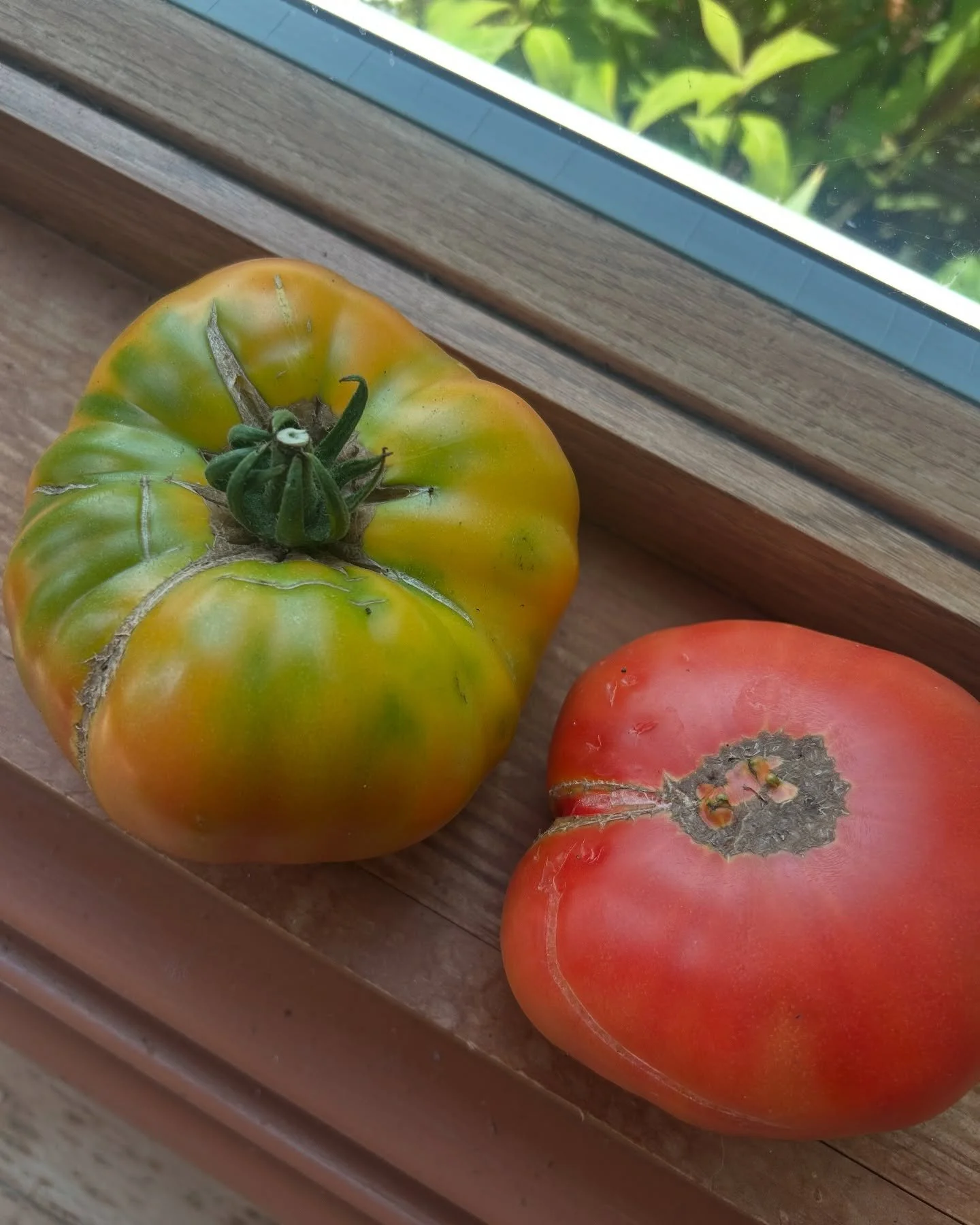 July colors in the sweetest weather.