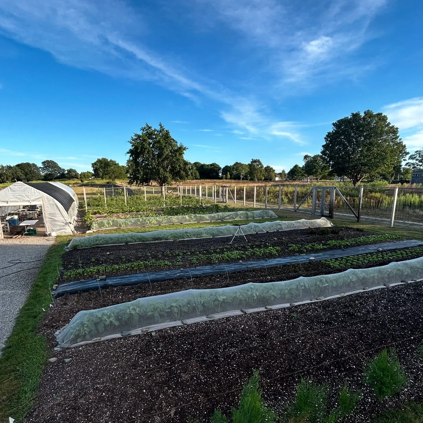 East Berry Farm 
est. 2025