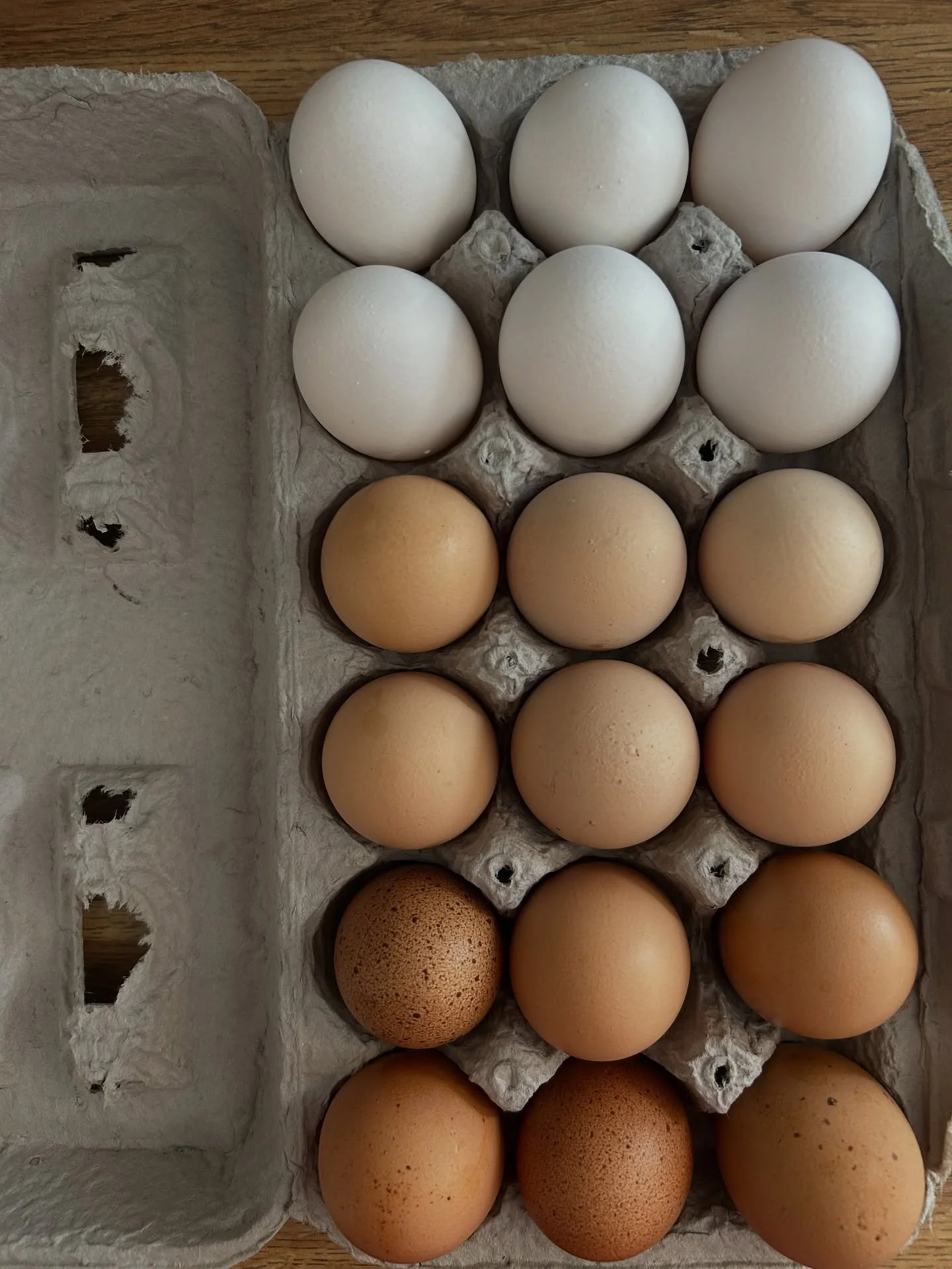 Just can't help myself