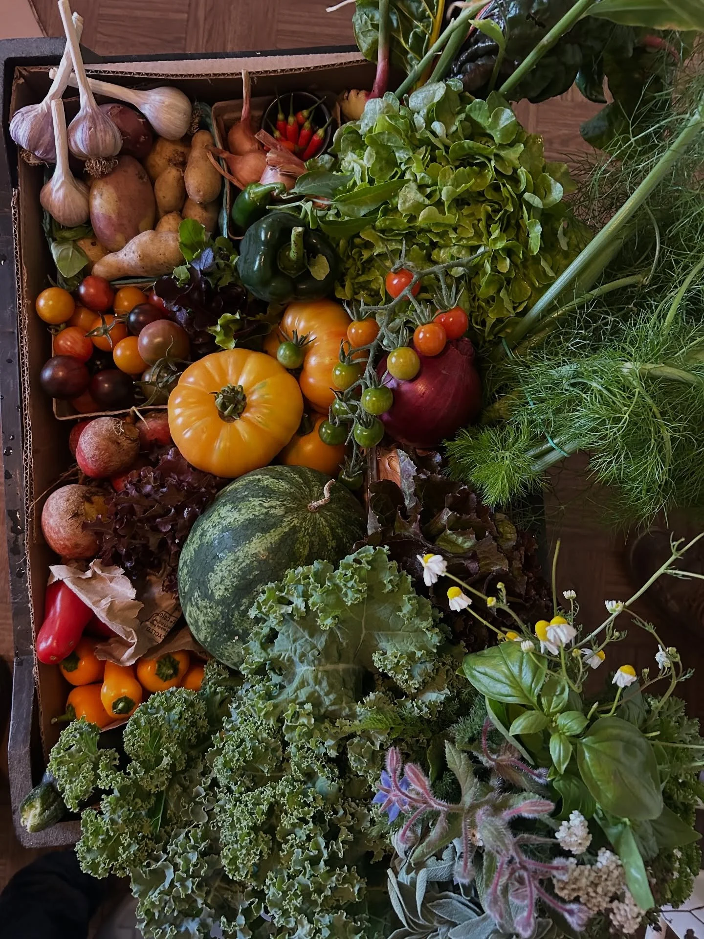 And isn't it marvelous when even the distractions are part of the plan.