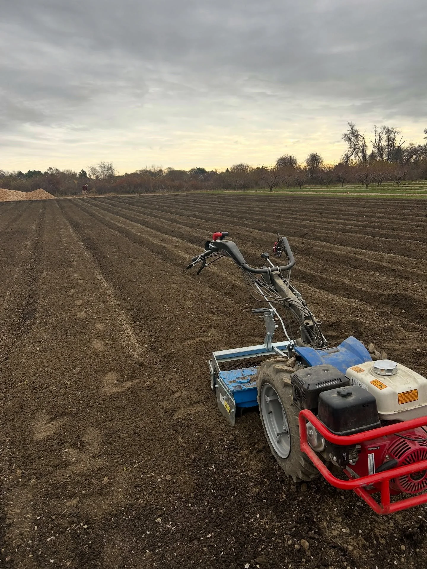 Putting the walking tractor through its paces making raised beds for vegetable production @sweetberryfarmri 🧑&zwj;🌾 

After laying compost down we rototilled one last time to incorporate the native silty-clay/loam, then rotary plowed pathways (toss