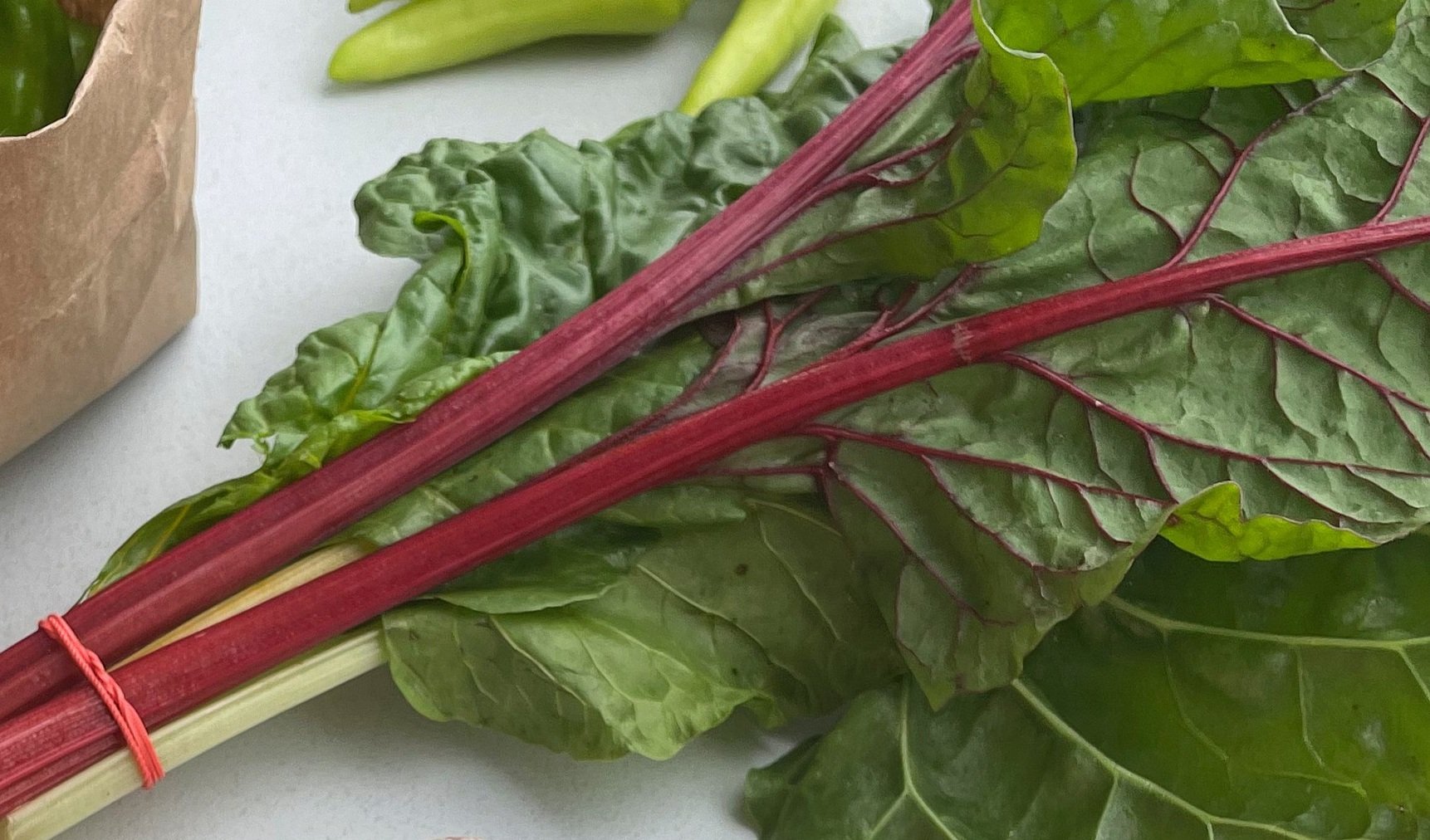 Rainbow Chard