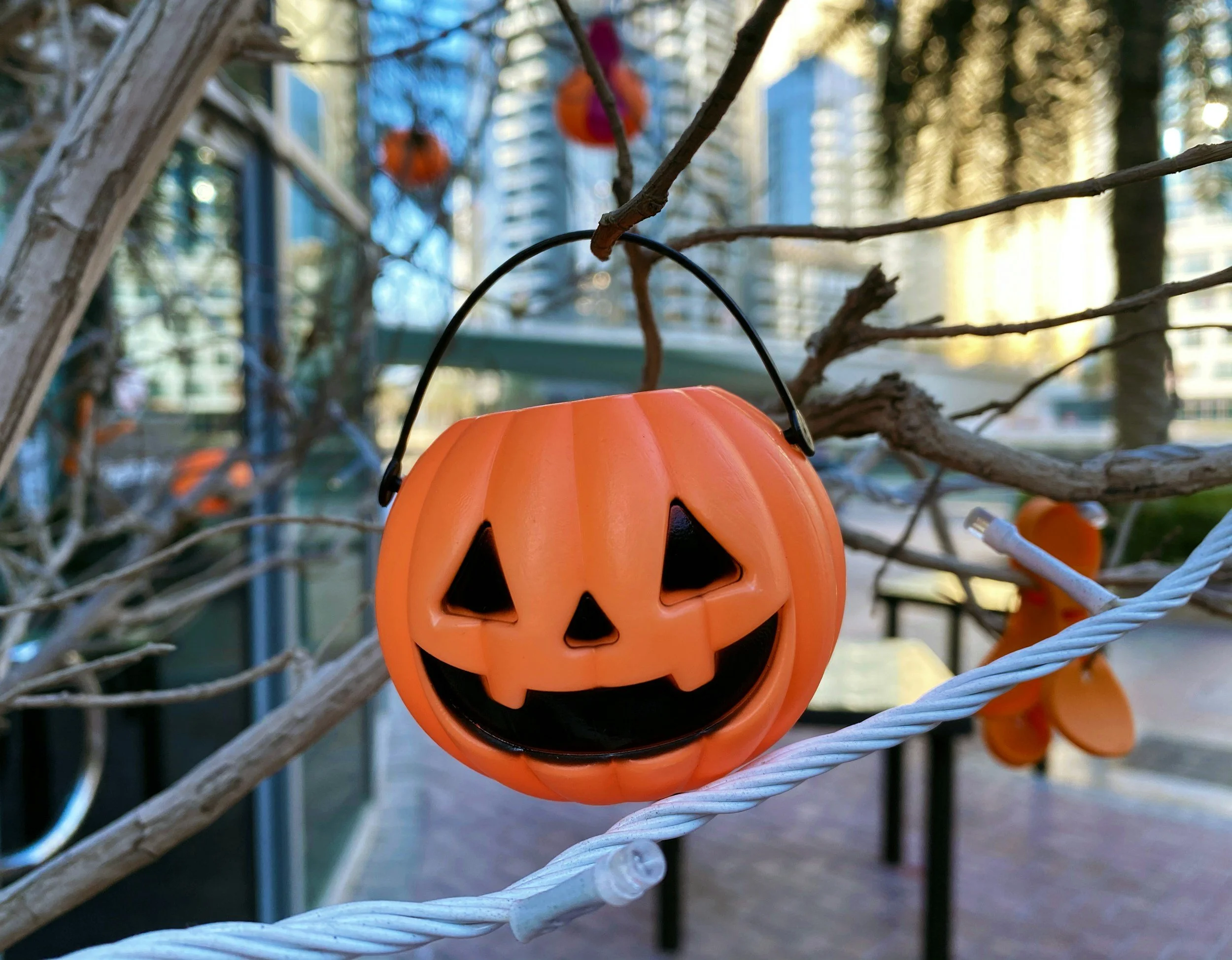 Trunk Or Treat