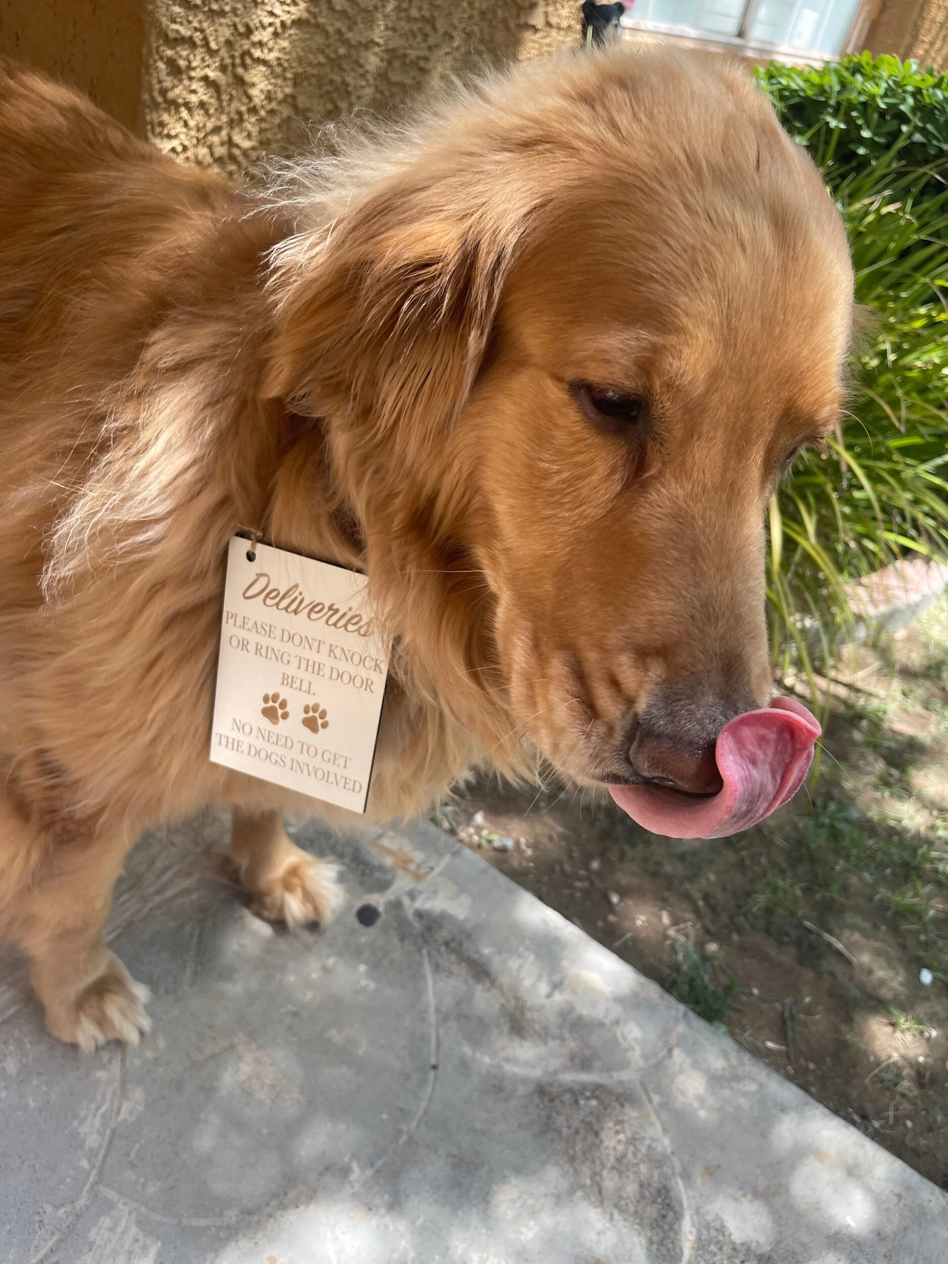 C493A90E-C0DA-490F-80FE-12064FA83836