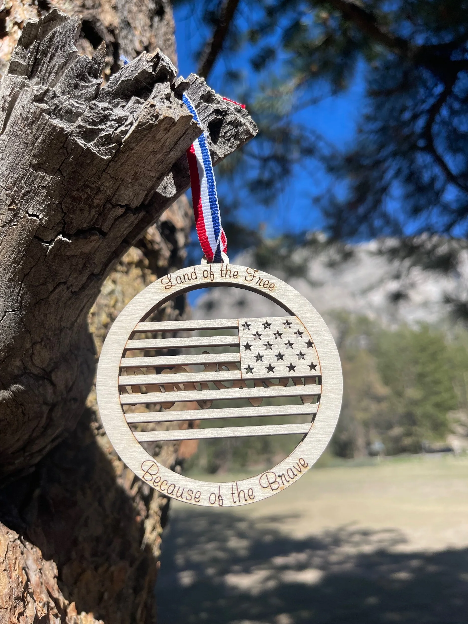 41AB7C0D-D1C3-4162-BEE5-AD2E65D7CAD2