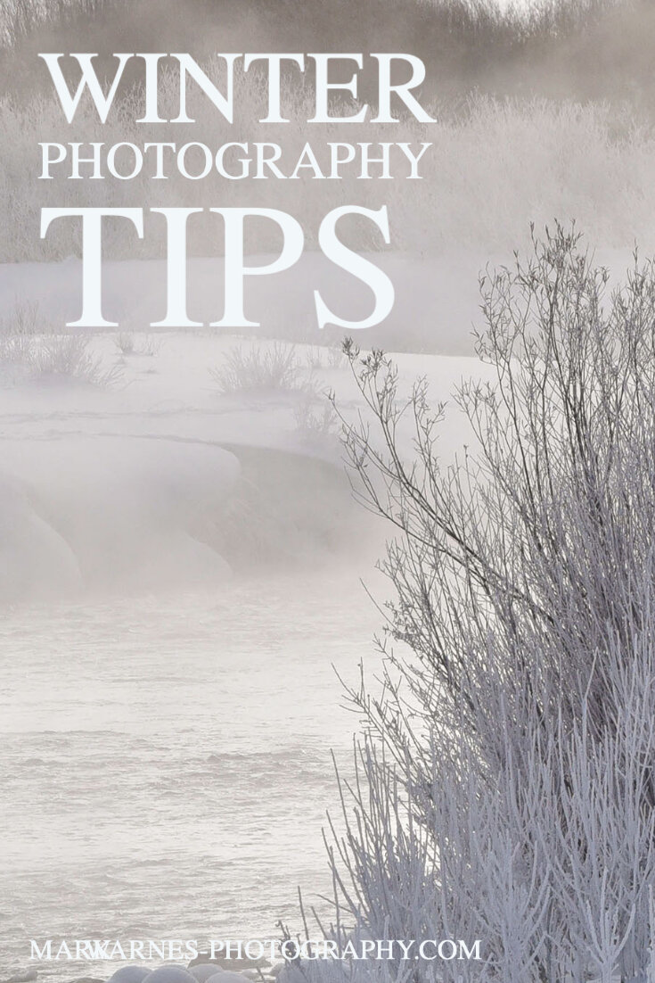 Winter Photography Tips.jpg