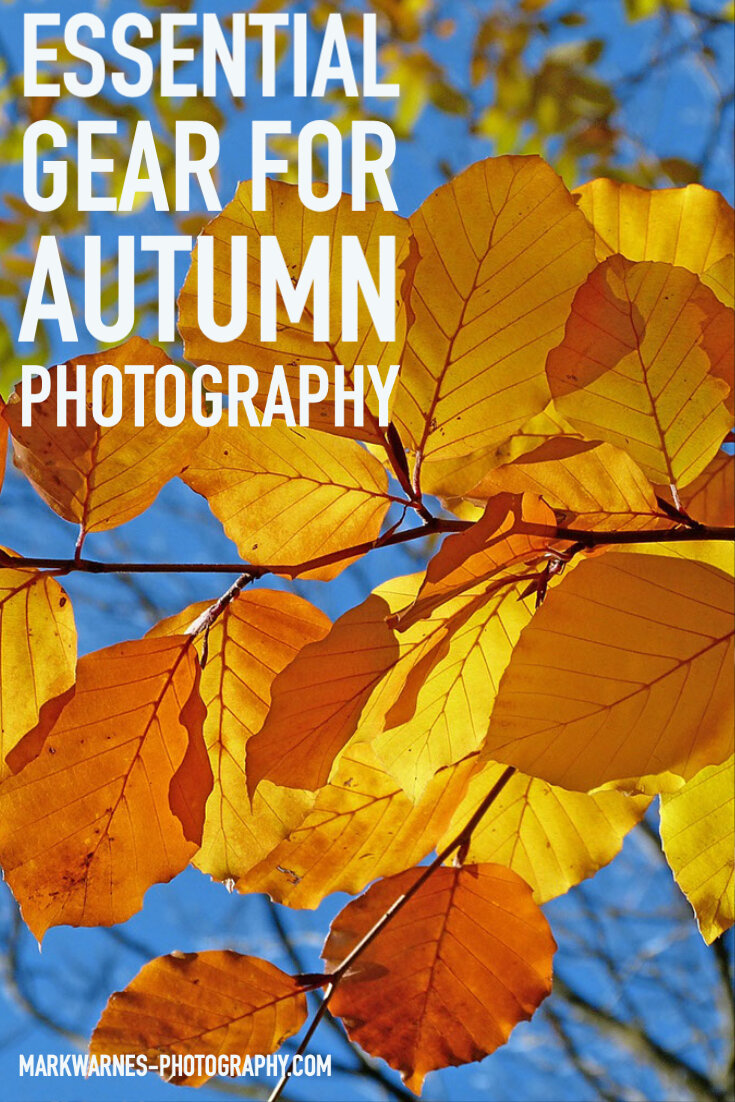 Gear for Autumn Photography.jpg