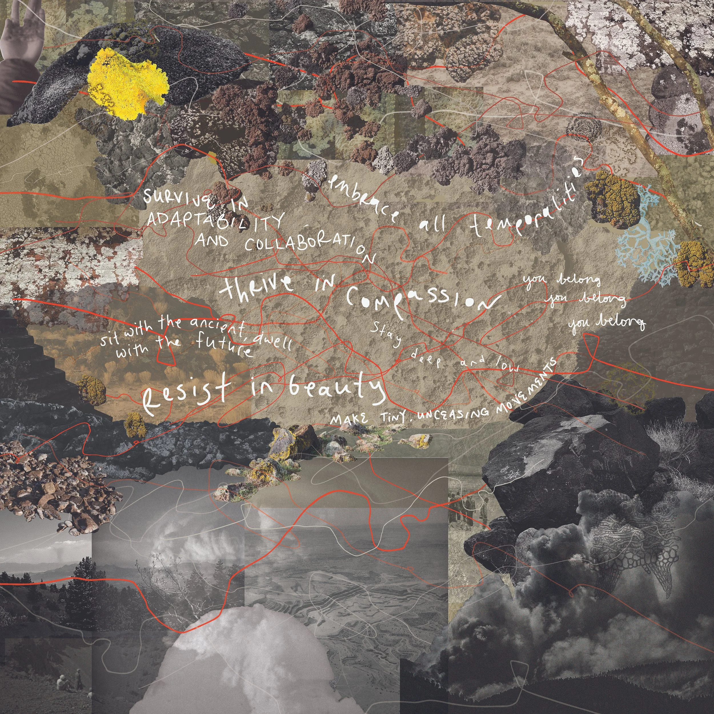 a lichen manifesto for enduring — The Submergence Collective