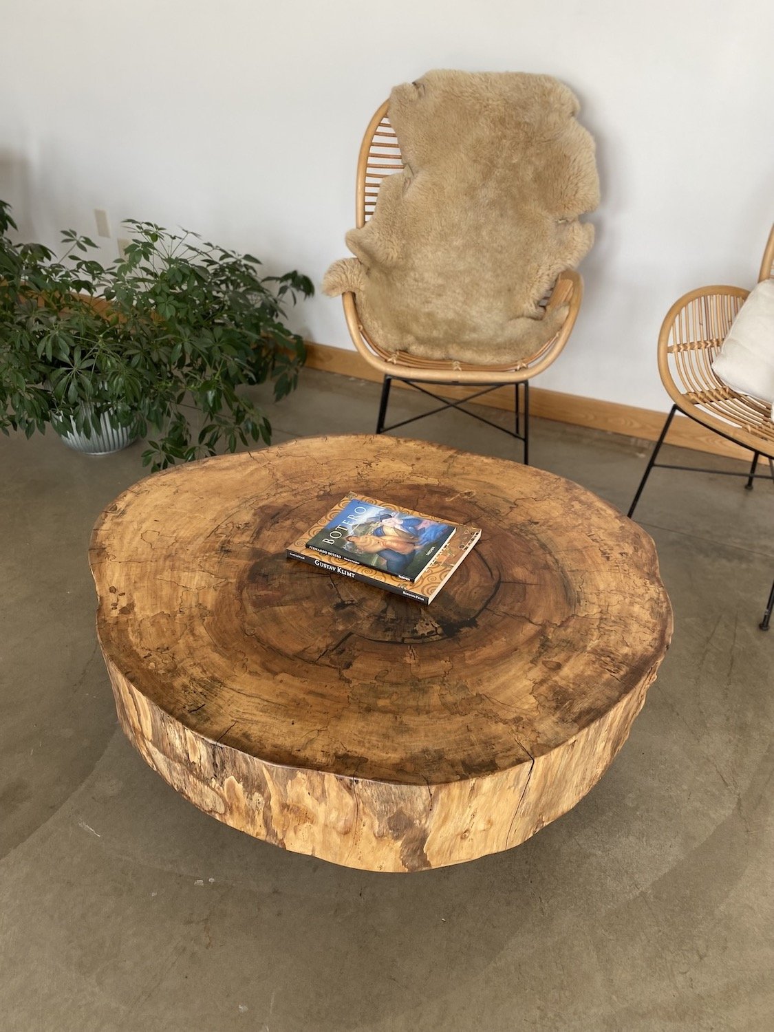 sycamore coffee table A.jpeg
