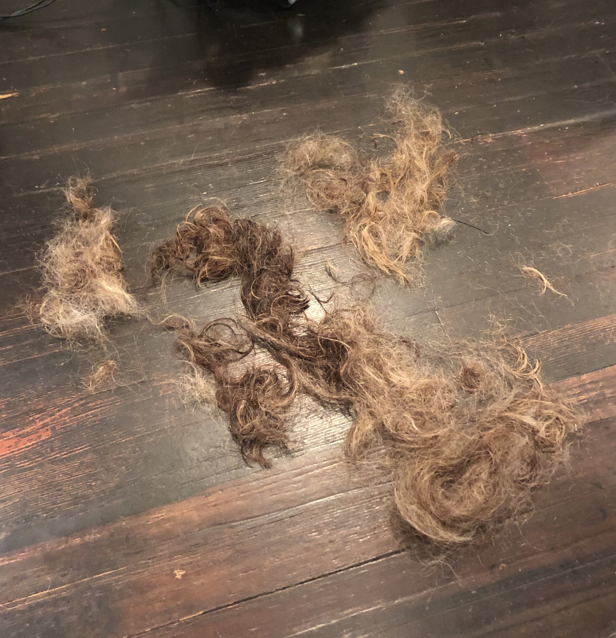 January 28, 2020 - Six Inches and Multiple Colors