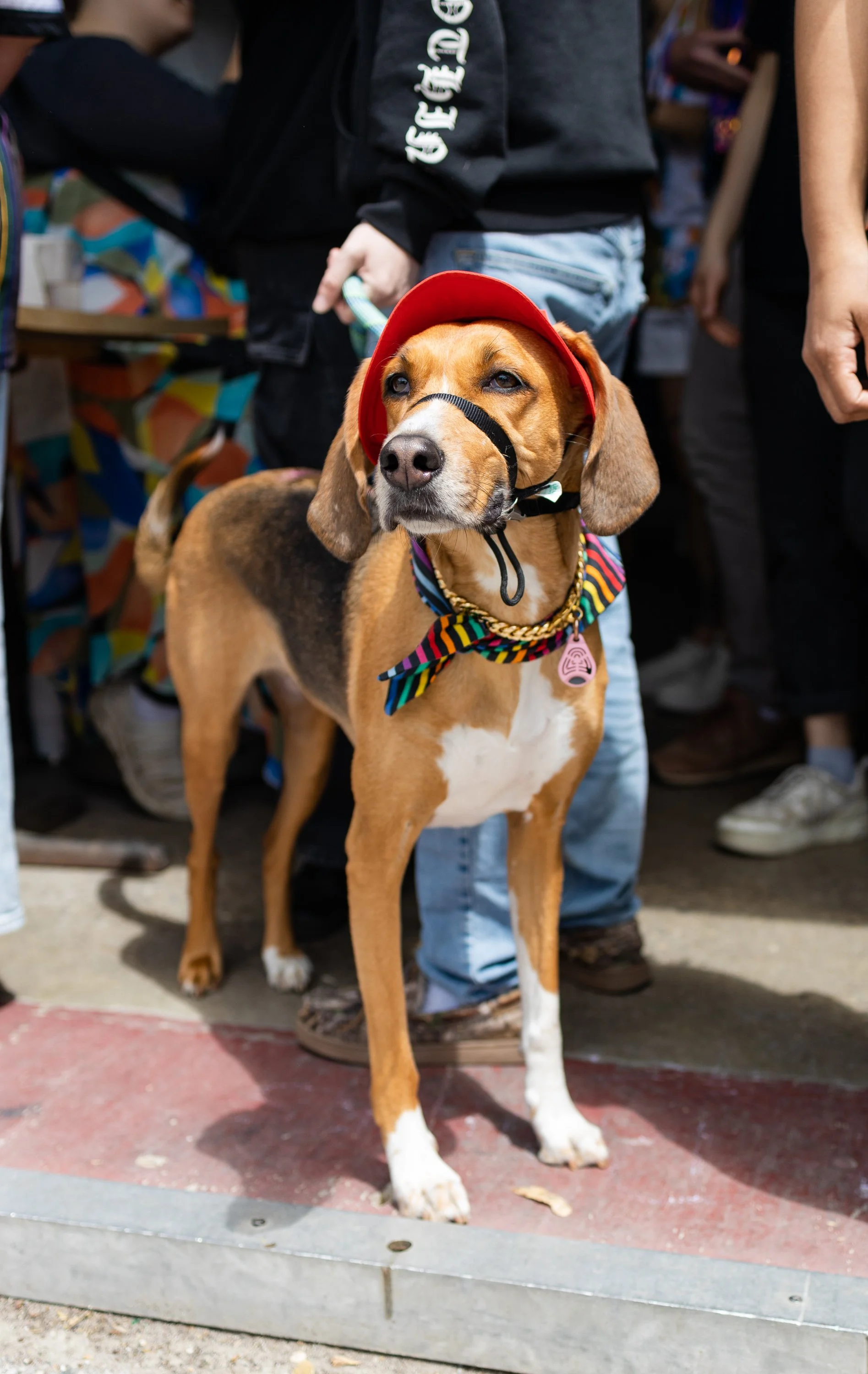 POOCH PRIDE_250601_4492.jpg