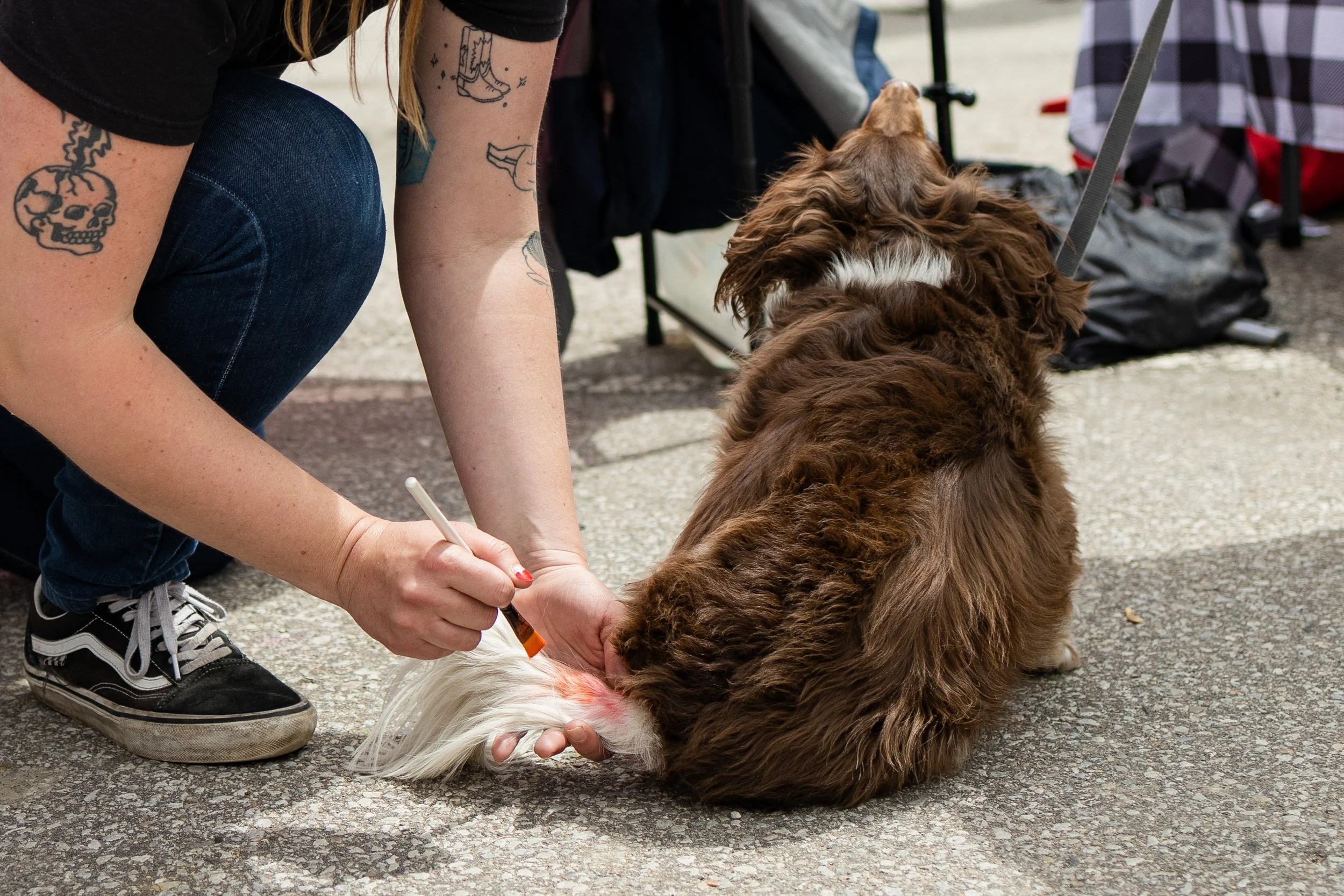 POOCH PRIDE_250601_4527.jpg