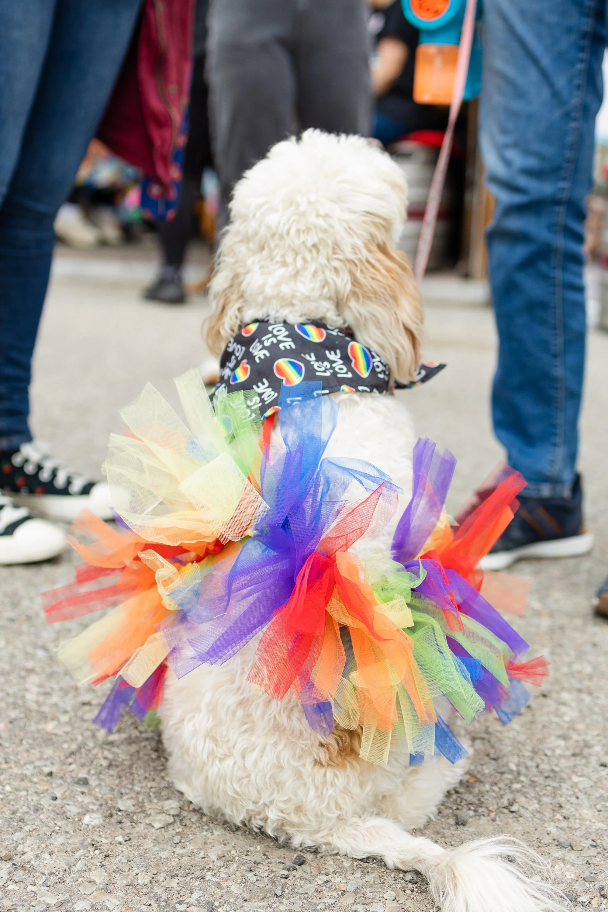 POOCH PRIDE_250601_4632.jpg