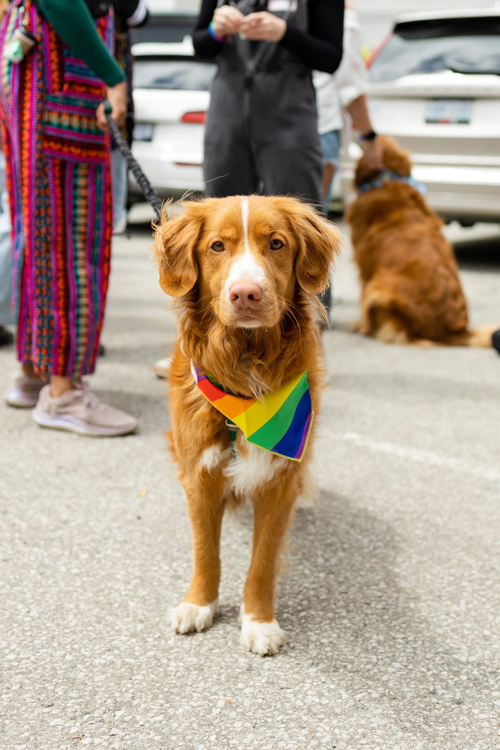 POOCH PRIDE_250601_4532.jpg