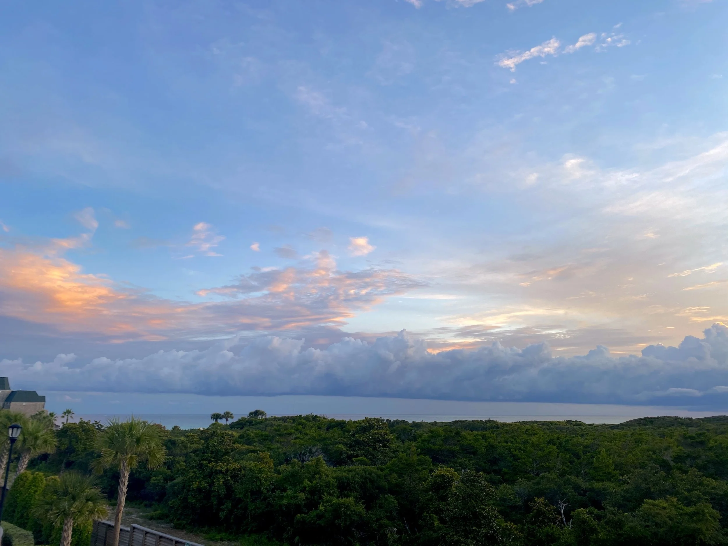 D14D6B2C-1712-4A79-B588-3480C6510D3B.jpg