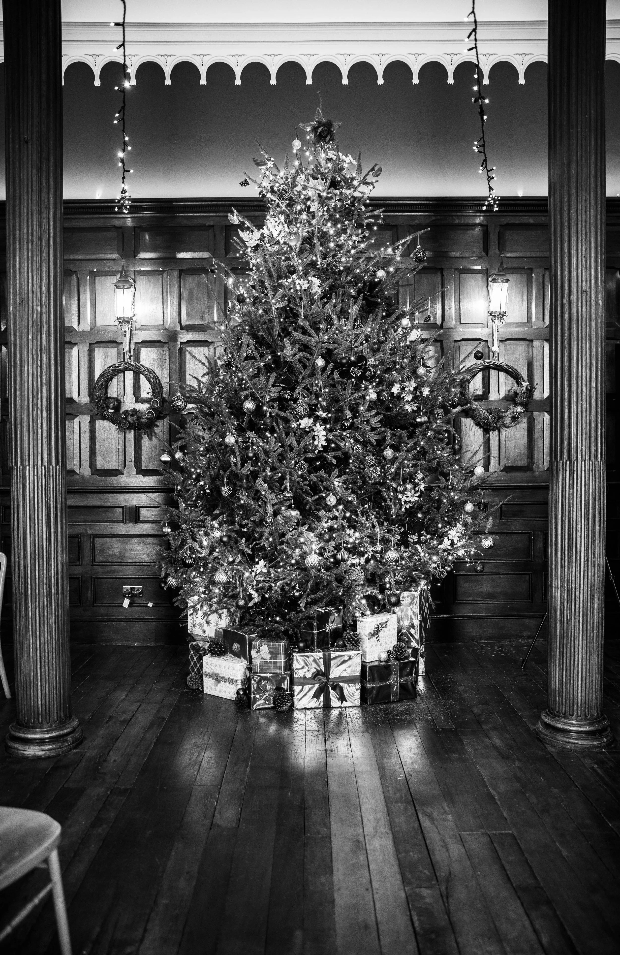 Rachael & Liam - Official Wedding Teasers (34).jpg