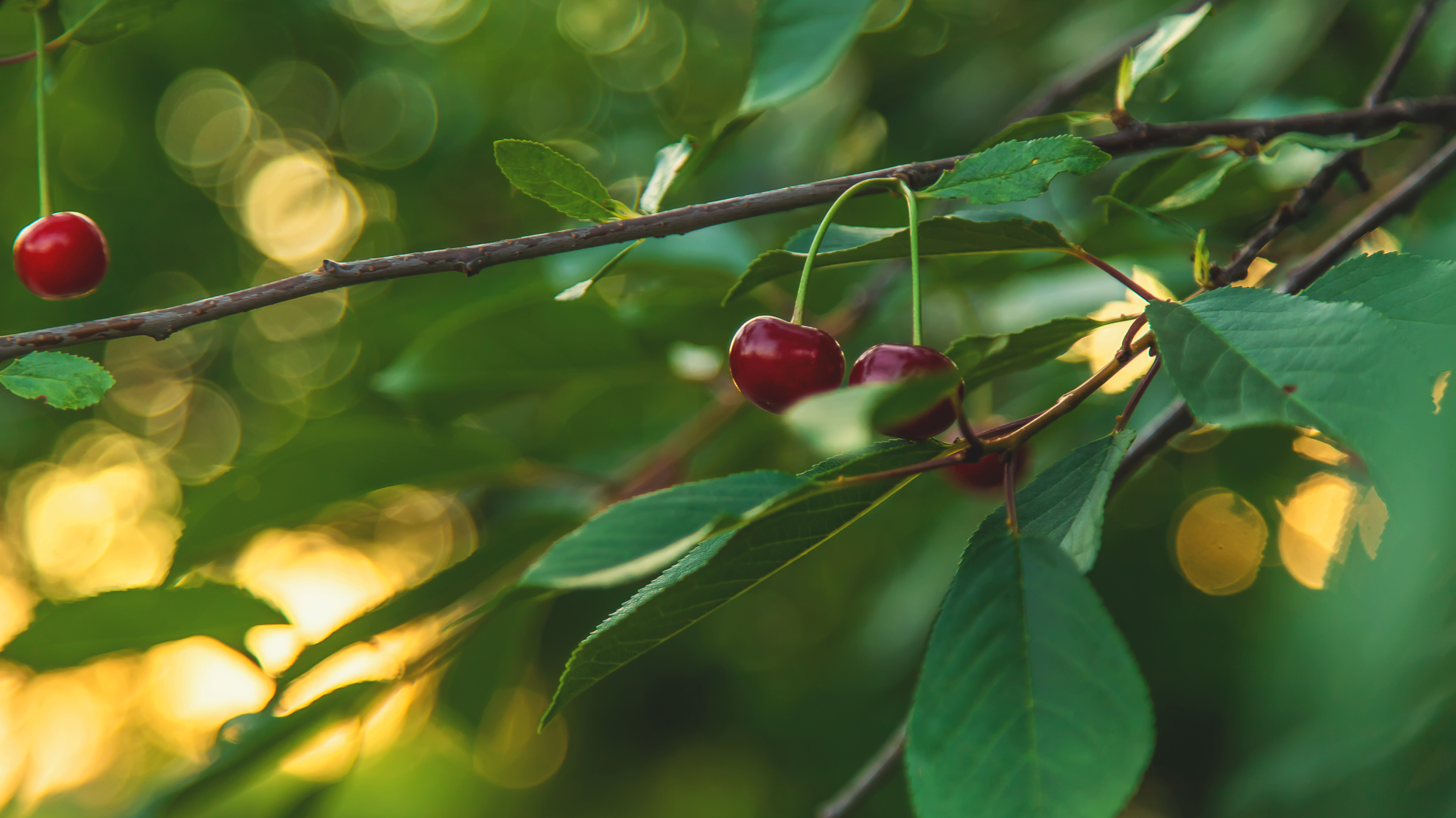 Opening to Greater Abundance 