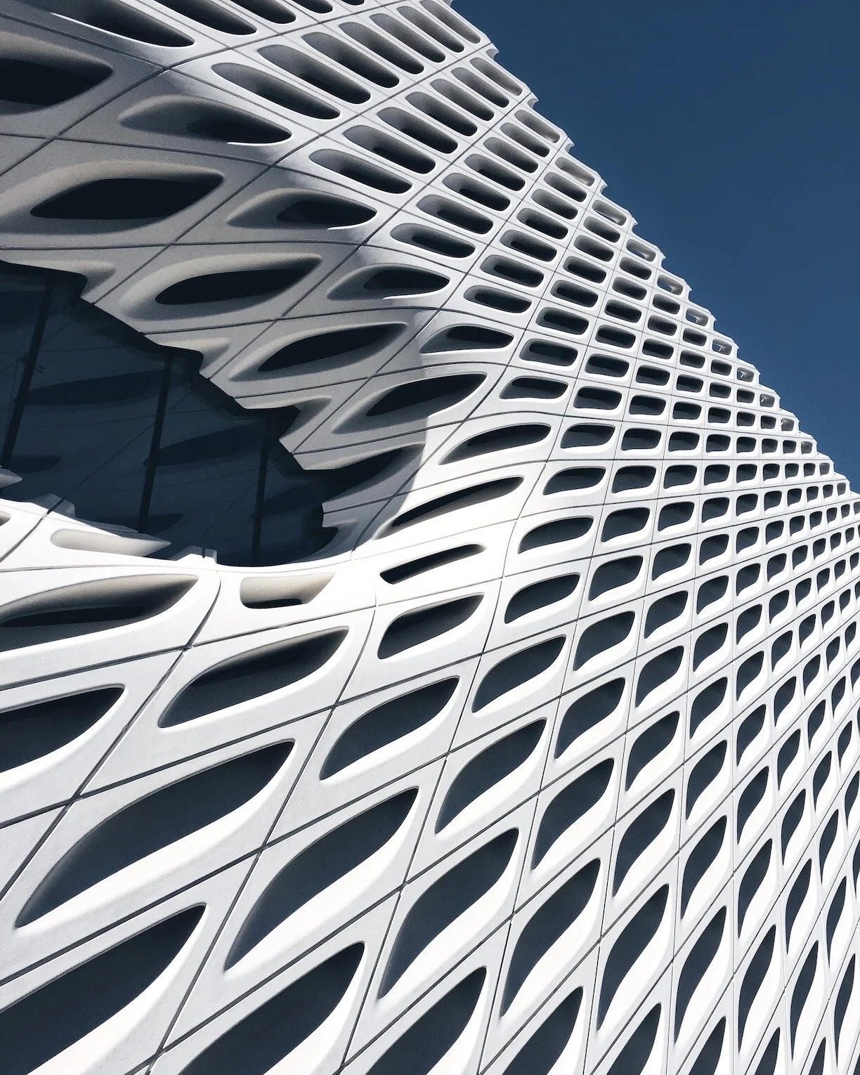 THE BROAD, LOS ANGELES  (Copy)