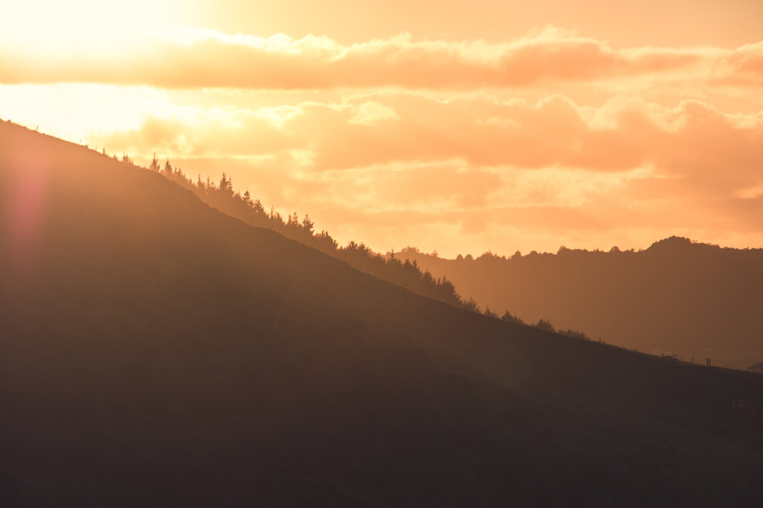 weekly energy  [08 . 03 . 20]