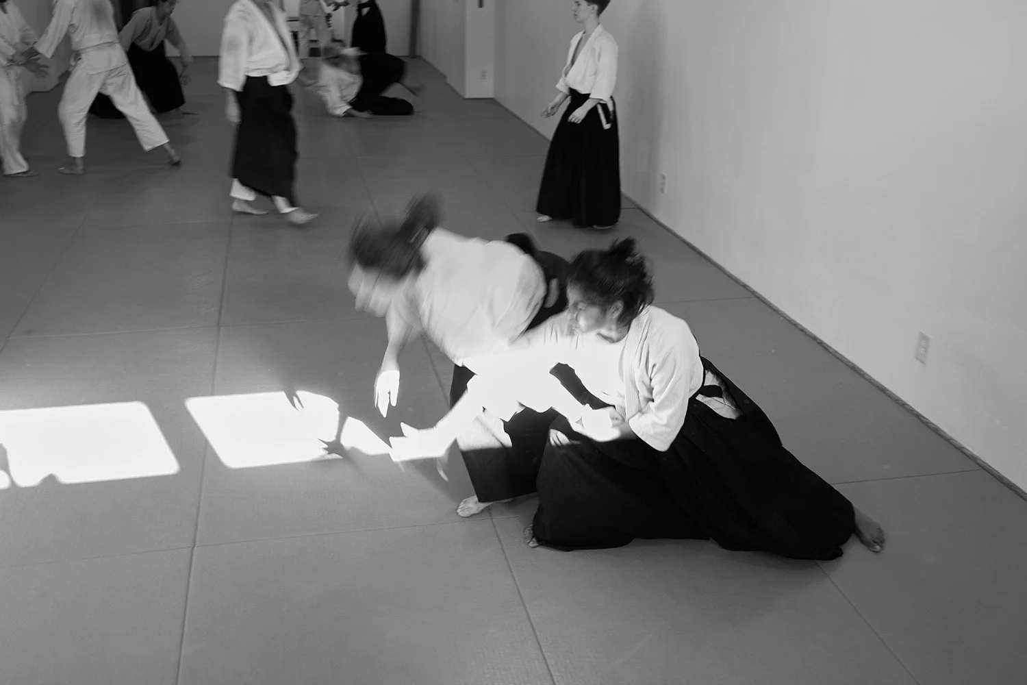 2024_BK_Aikikai_Fundraiser_0843.jpg
