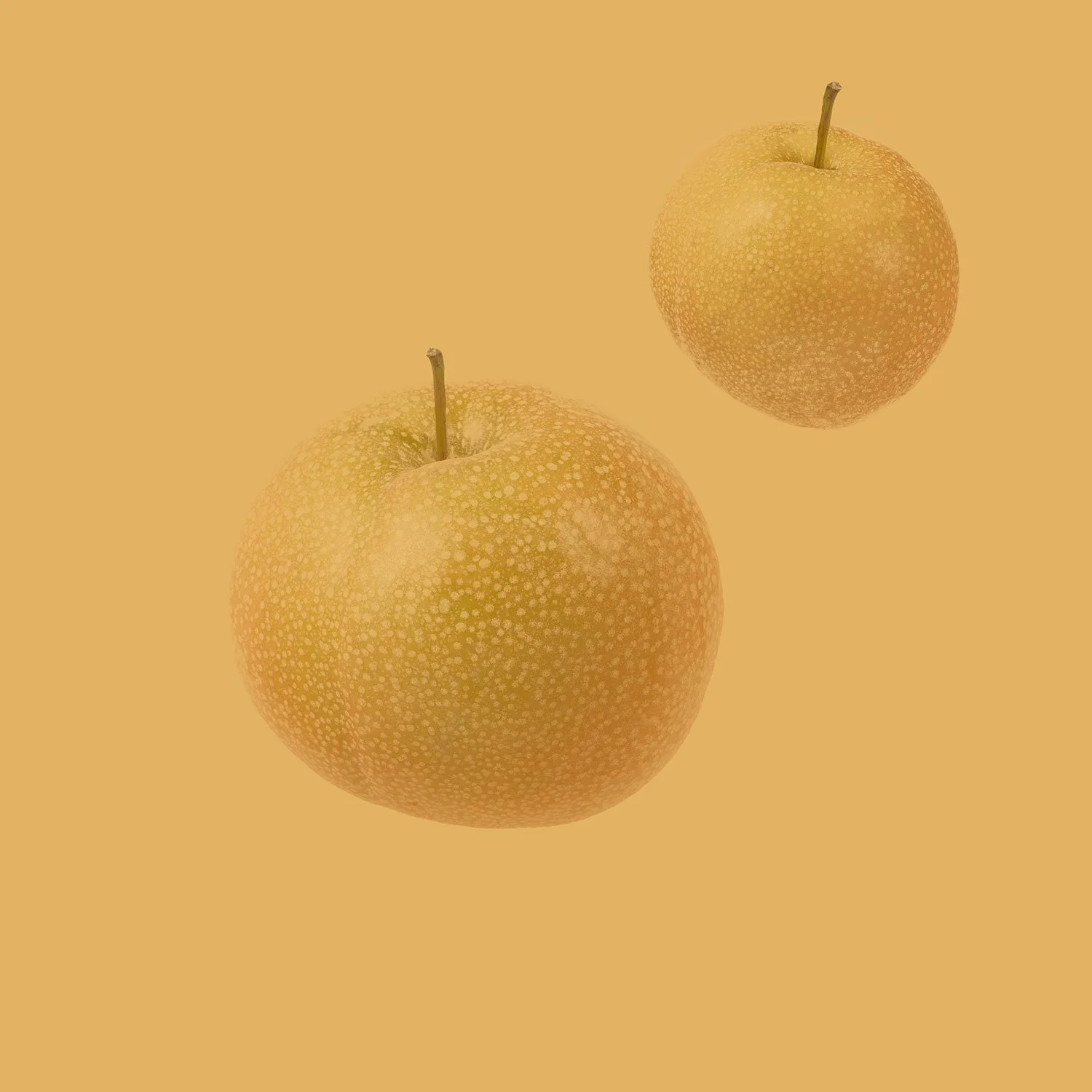 Two textured Asian pears suspended against a warm ochre background, captured in a minimalist still life style by Takamasa Ota.