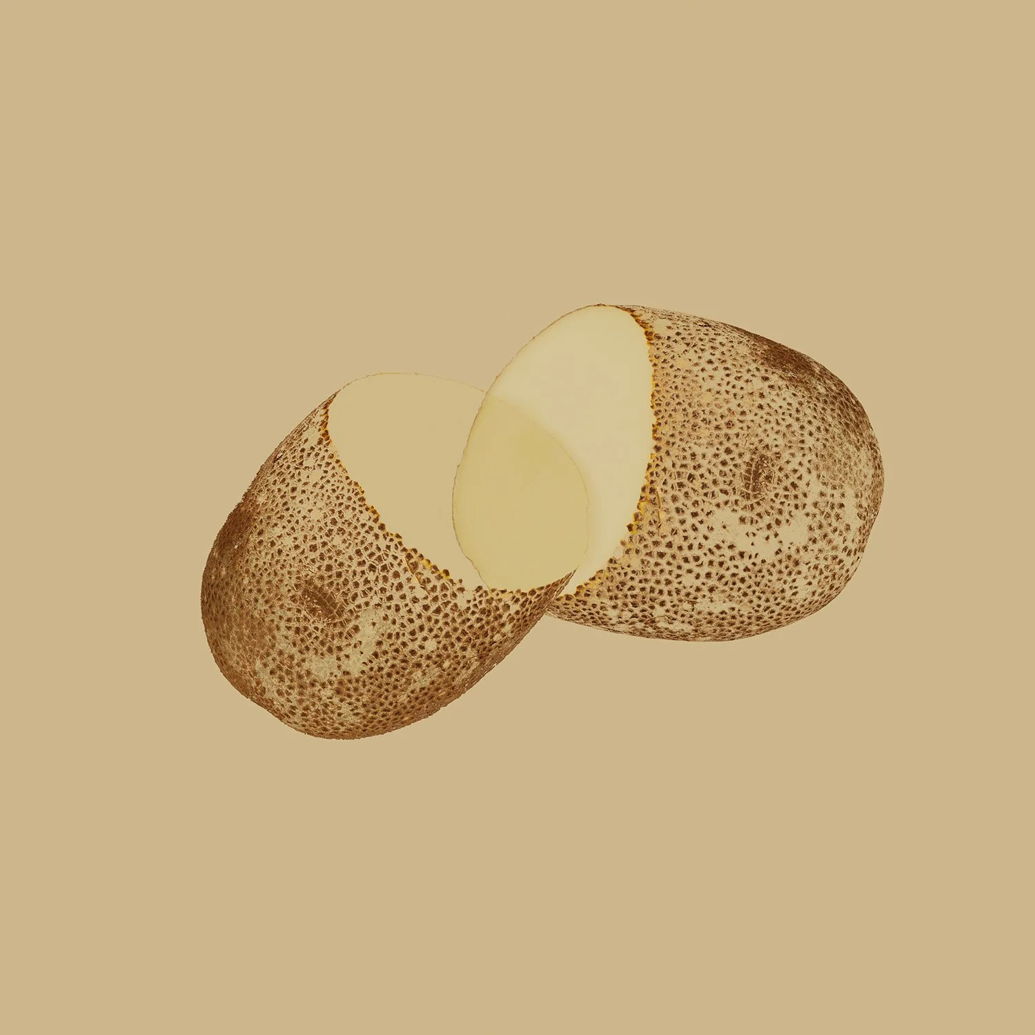 A halved russet potato showing starchy white interior and textured brown skin against a tan background by Takamasa Ota.