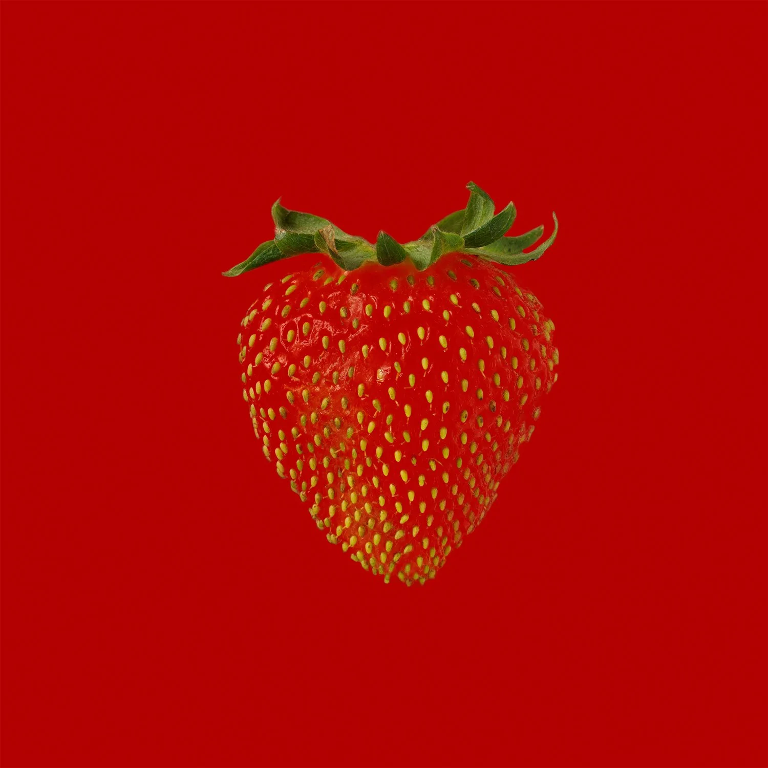 A ripe red strawberry with green leaves centered against a bold, matching red background by Takamasa Ota.