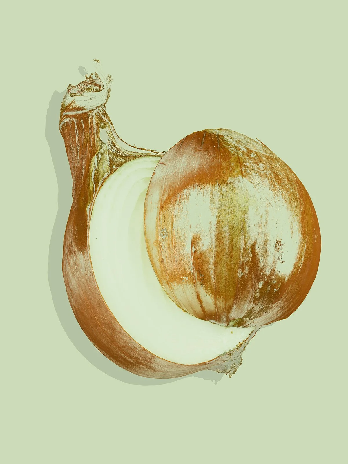 A halved yellow onion with a dry papery skin and crisp white interior on a light sage background by Takamasa Ota.