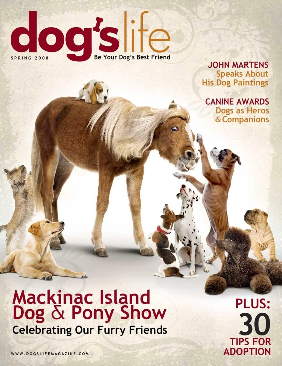 Dog_Pony_magazine_web.jpg