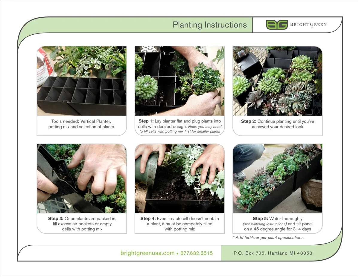 BG_Planting_Instructions_web.jpg