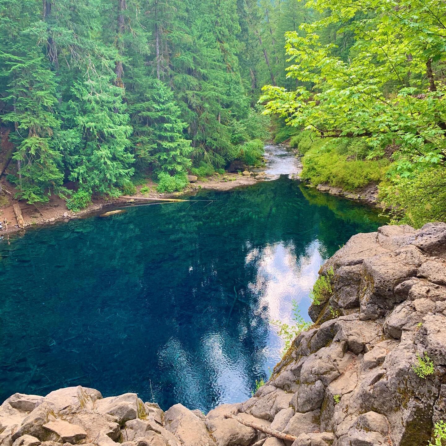 Whether it&rsquo;s ice cold, boiling hot, or somewhere in between, I have a love for water. This makes summer my favorite time to be in the woods.  If you would like to experience some of this, let us know. We have trips coming up!
.
.
.
.
.

#recove