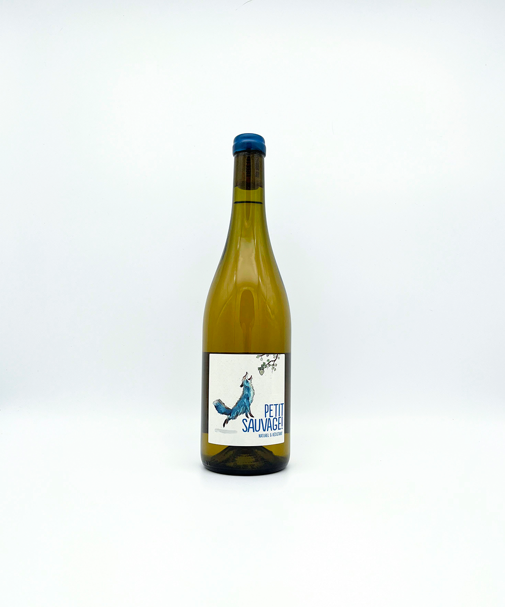 Petit Sauvage Blanc, 2022 — The French Wine Merchant