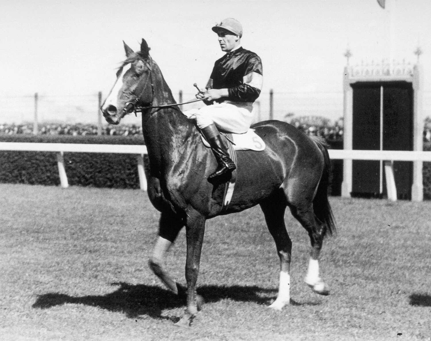 Photo: This is Rogilla who won the Caulfield Cup, Sydney Cup, Cox Plate and many other big events from 1932-35. He was trained by my mother’s uncle, Les Haigh and earned over the equivalent of $45,000.