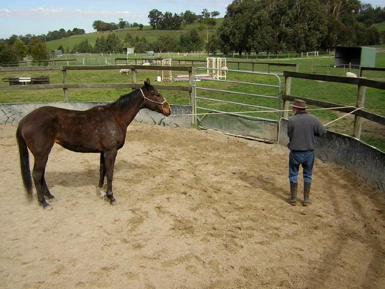 tying up 3 copy.jpeg