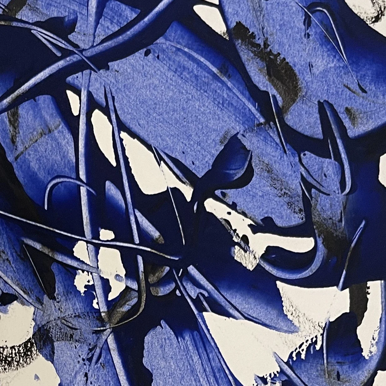 Blue -close up 2.JPG