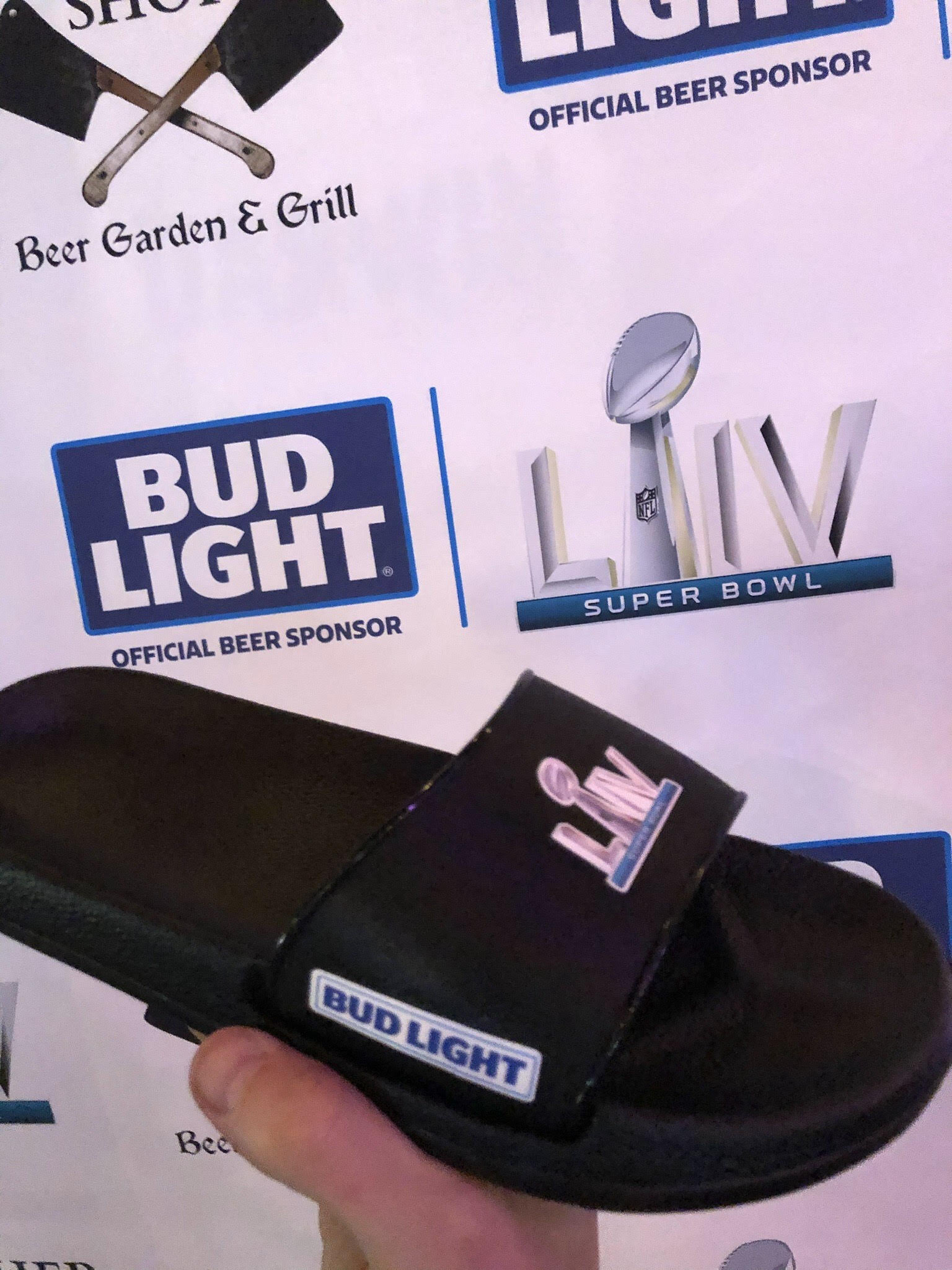 slides budlight main pic.jpg