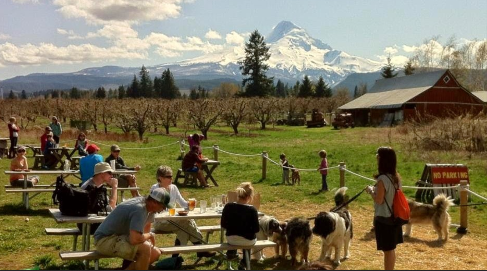 CELEBRATE OREGON BEER
