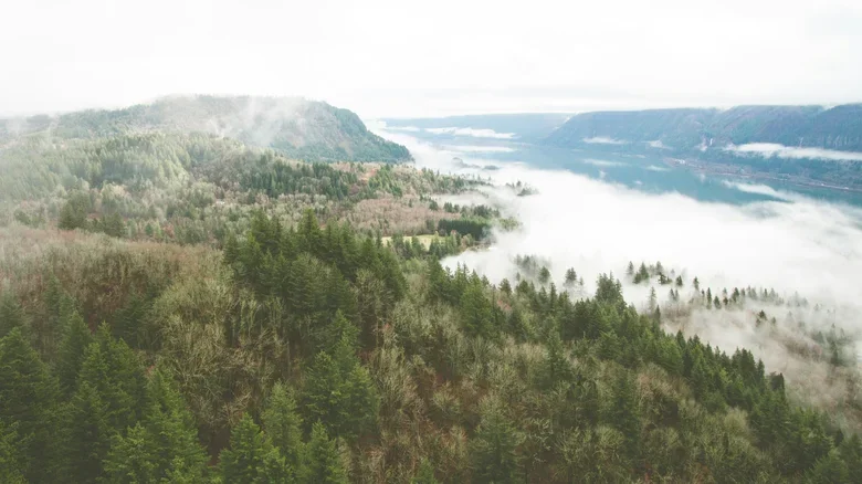 Washington's Hottest New Beer Crawl Crosses The Columbia In This River City With Award-Winning Brews