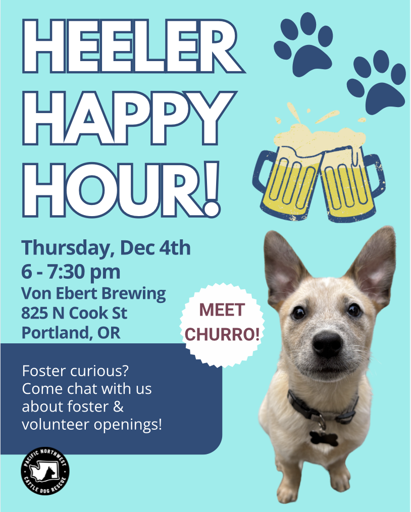 Heeler Happy Hour - Pacific Northwest Cattle Dog Rescue Benefit
