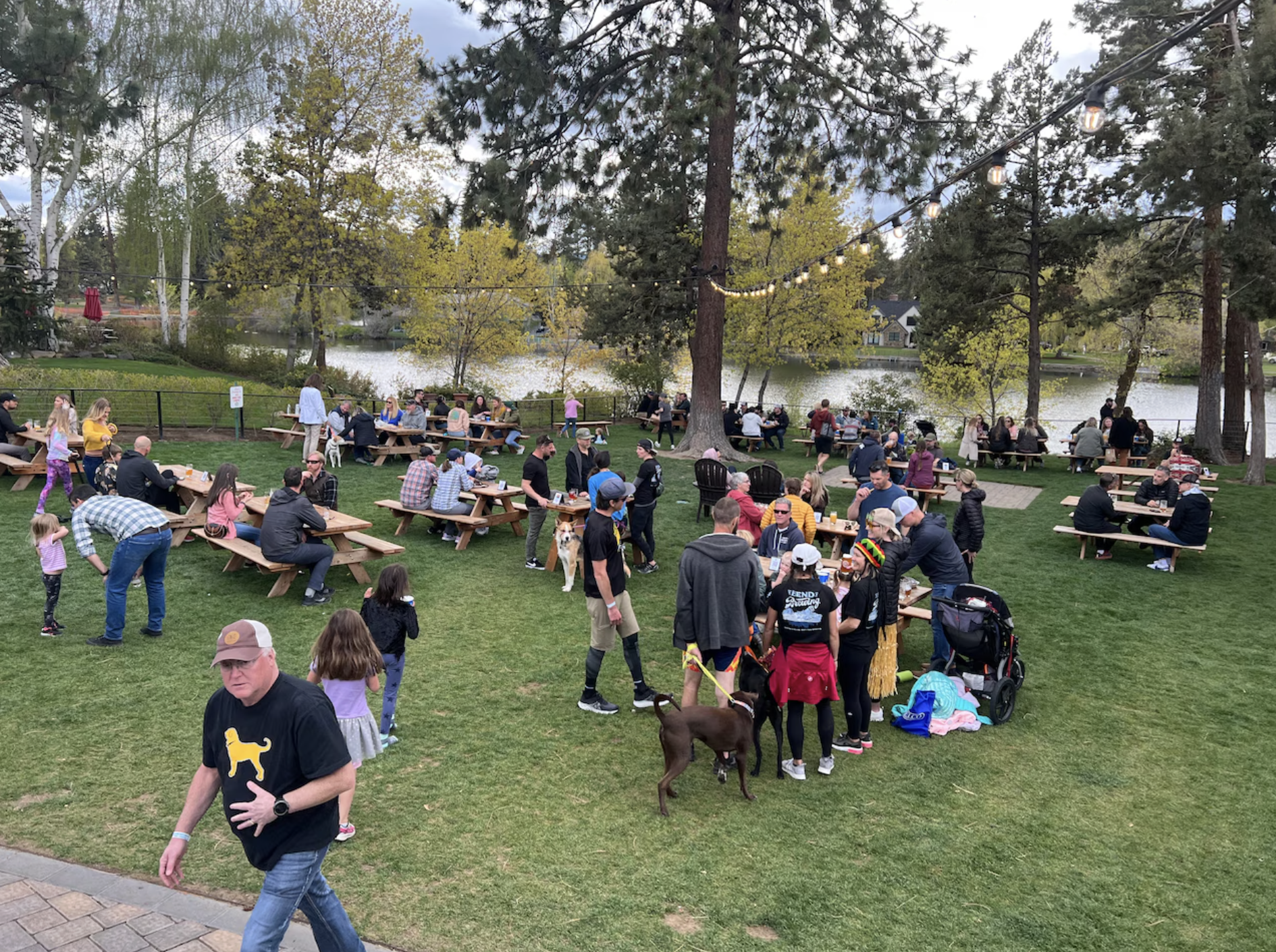 Oregon Beer Awards 2026 winners: Find out who makes the state’s best IPA
