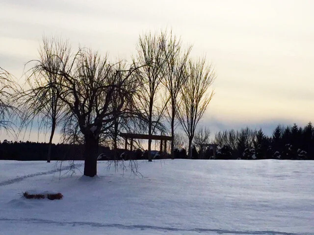 Rooting into Darkness Reveals the Light