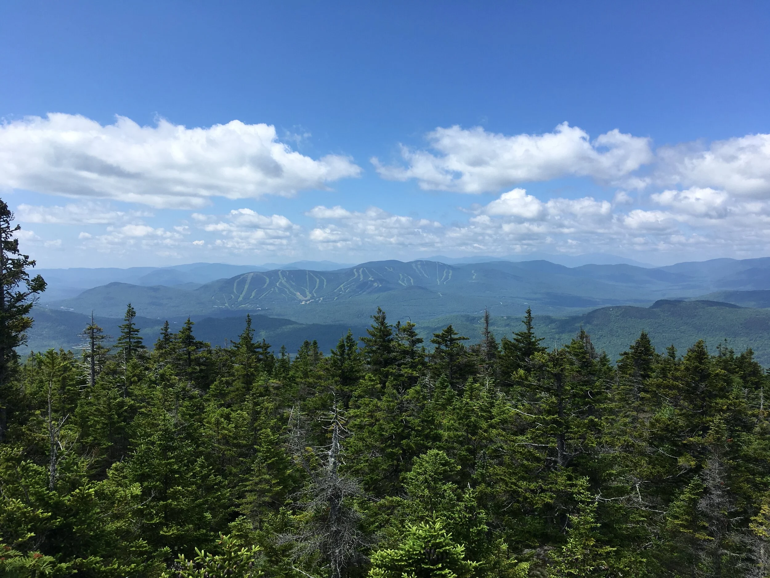 Hiking Puzzle Mountain — My Maine