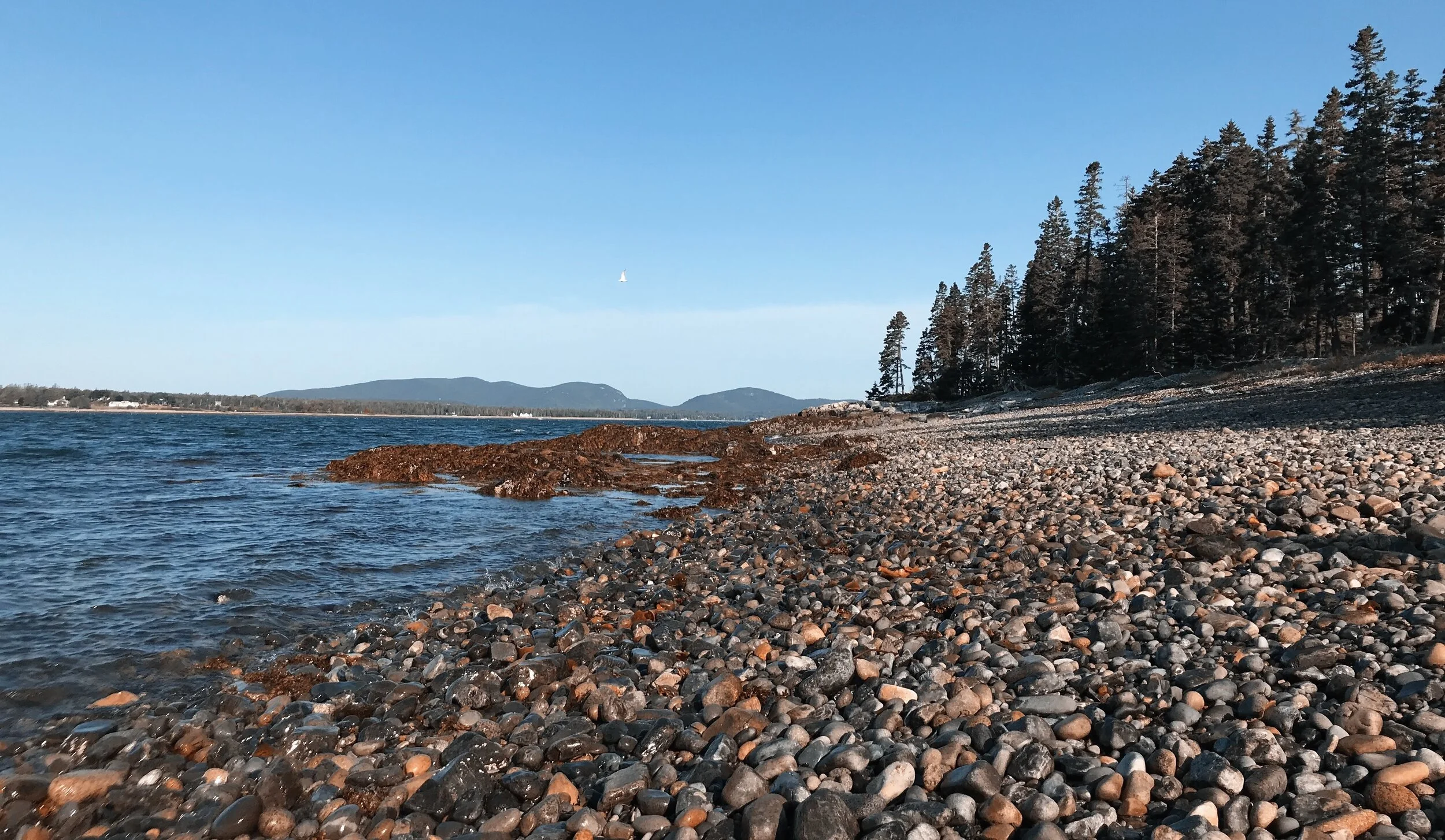 Exploring Great Cranberry Island — My Maine
