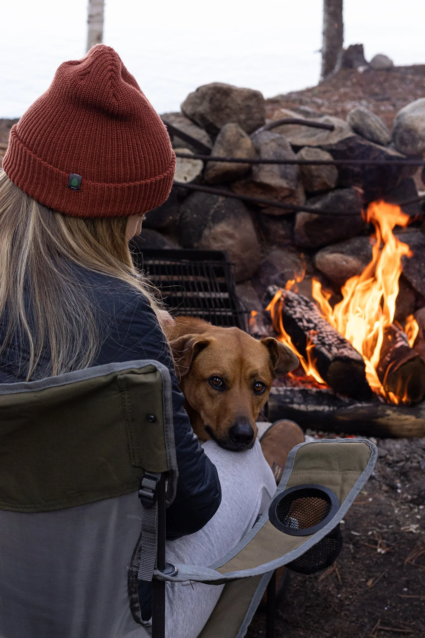 Tips for Camping with Dogs